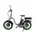 Электровелосипед Elbike Taiga 1 Twix 2000