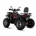 Бензиновый квадроцикл WHITE SIBERIA BARS 200CC PRO