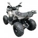 Квадроцикл GRIZLIK T200 LUX