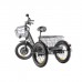 Трёхколёсный электровелосипед Eltreco GREEN CITY e-ALFA Trike