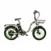 Электровелосипед Elbike Taiga 1 Elite (camouflage) Электровелосипед Elbike Taiga 1 Elite (camouflage)