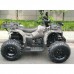 Квадроцикл GRIZLIK T200 Квадроцикл GRIZLIK T200