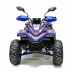 Электроквадроцикл GreenCamel Атакама T630 (72V 1500W R8)