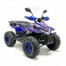 Электроквадроцикл GreenCamel Атакама T630 (72V 1500W R8)