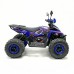 Электроквадроцикл GreenCamel Атакама T630 (72V 1500W R8)