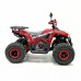 Электроквадроцикл GreenCamel Атакама T610 (72V 1500W R8)
