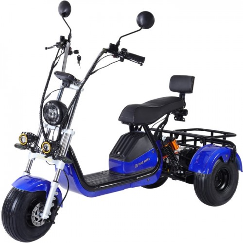 Трехколесный электроскутер Citycoco Trike GT X6