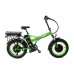 Электровелосипед Elbike Taiga 2 Twix 2000
