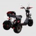 Электроскутер CityCoco SkyBoard Trike Irtysh BR40-3000 PRO FAST
